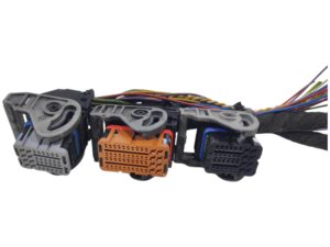 Conector Peugeot 206 2.0 HDI 2004, Ref: 11091-K3C9